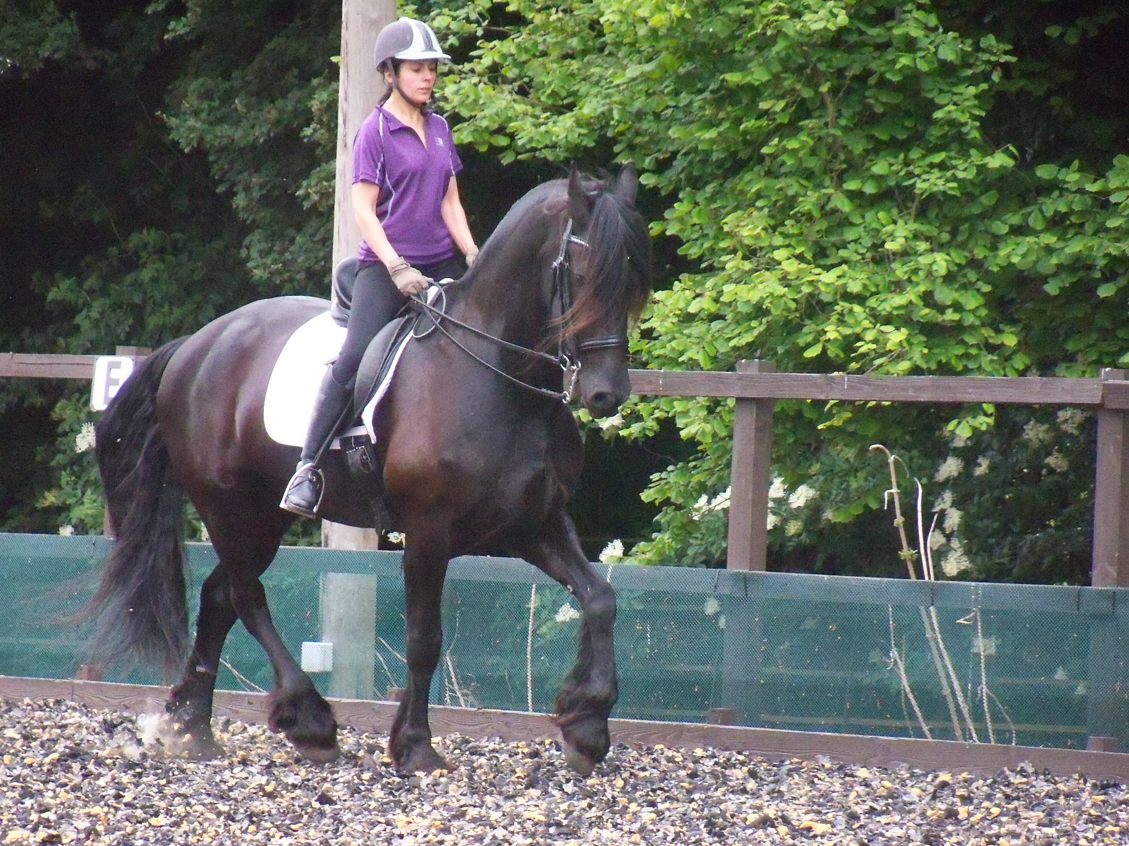 Pilates for horse riders